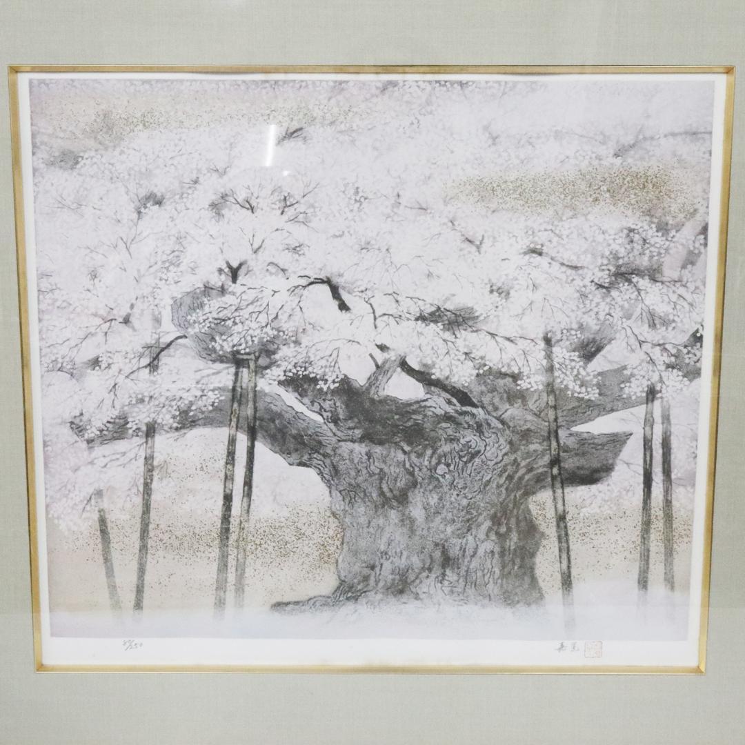 伊藤嘉晃 「淡墨桜」リトグラフ 80/250 共シール 額装