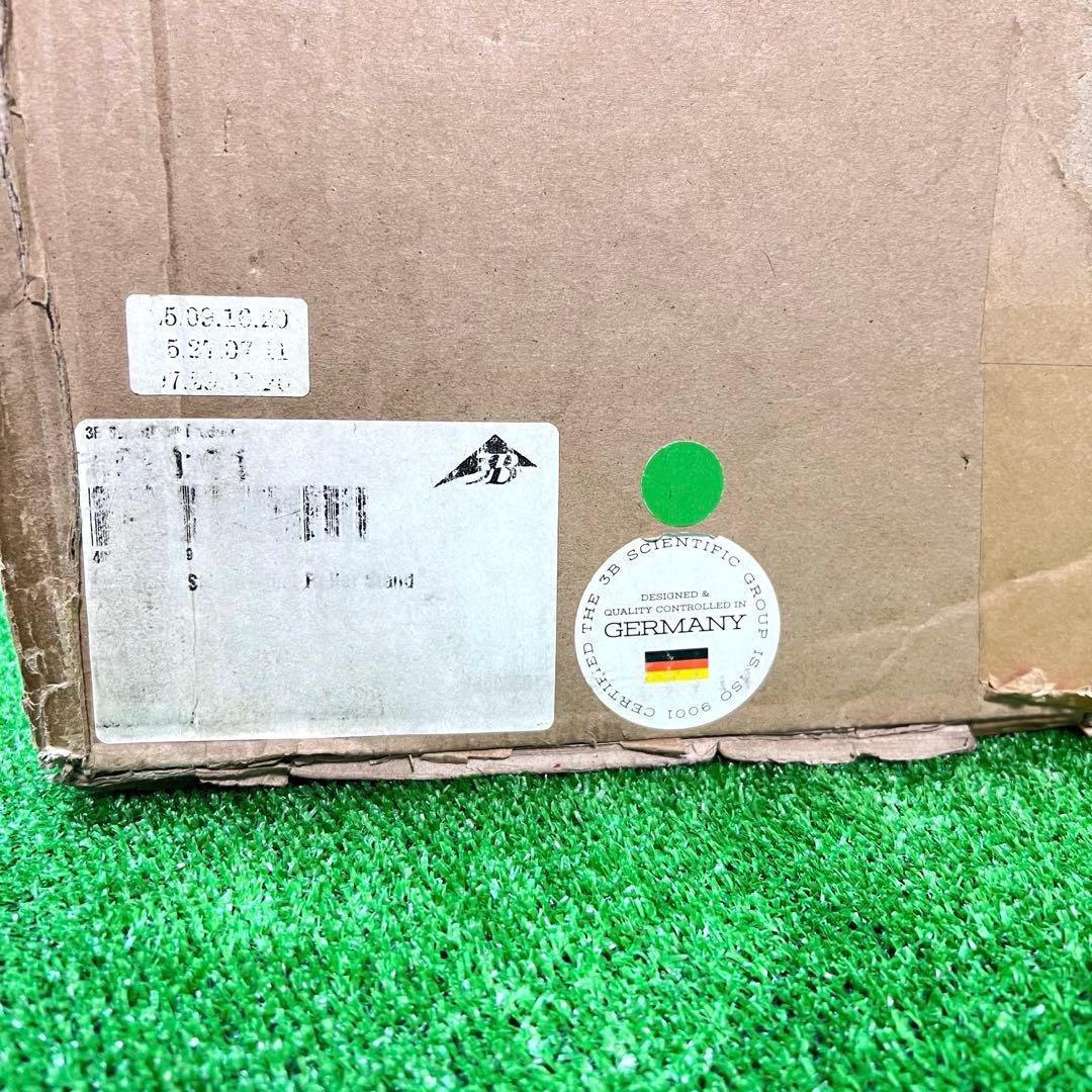 未使用品　人体模型 人体骨格モデルA10 3B SmartAnatomy