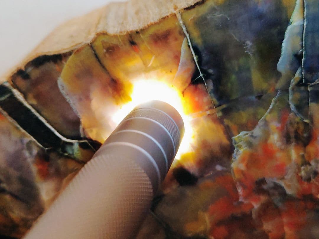 アリゾナ珪化木 11.2kg 碧玉 瑪瑙 原石 鑑賞石 自然石 誕生石 鉱物