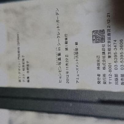 ヒョンビン写真集inシークレットガーデン