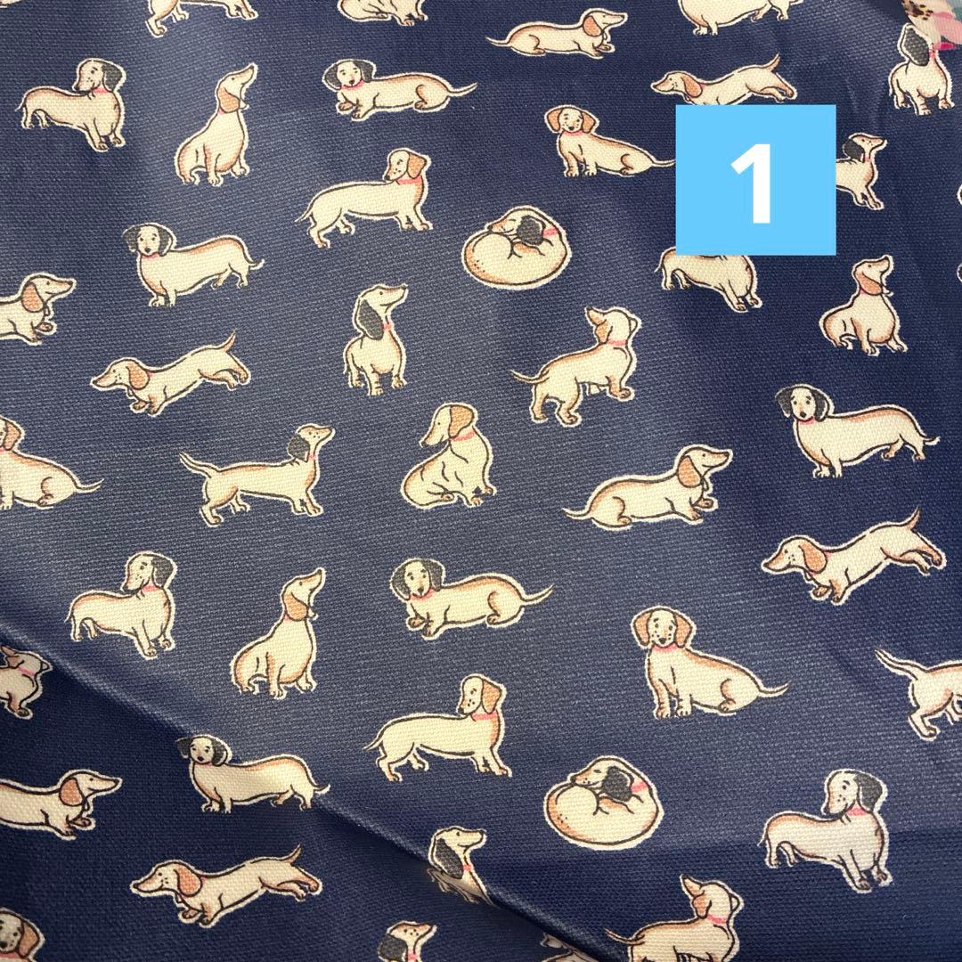 ハギーレ布子のポーチ会　本日21時