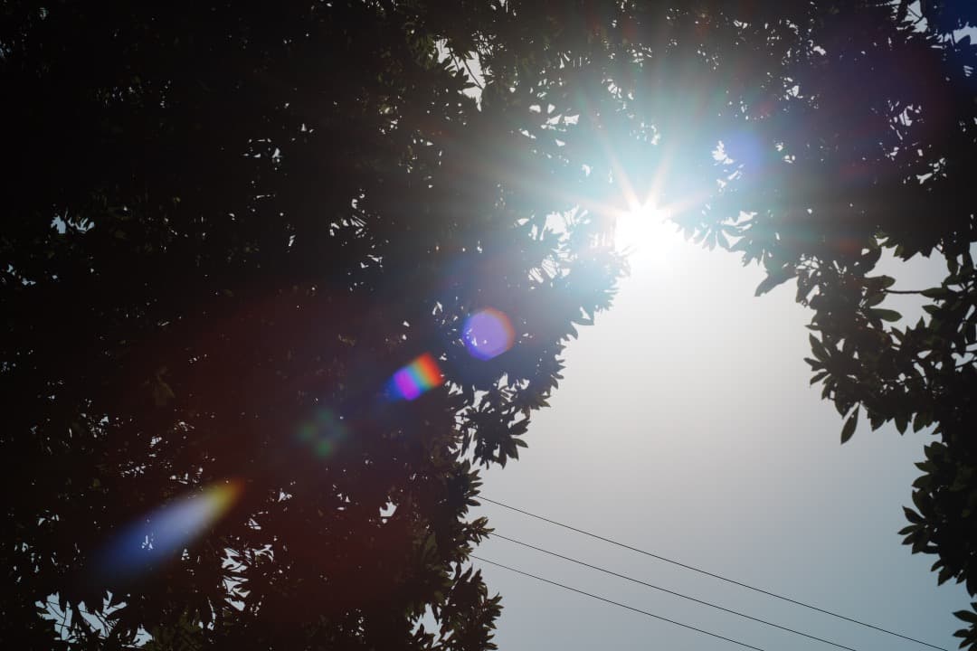 【美品】動作◎ オリンパス G.Zuiko auto 50mm F1.4 895