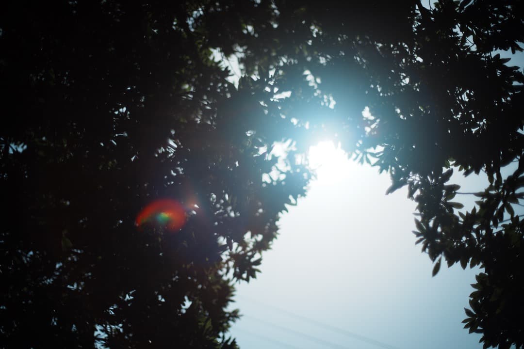 【美品】動作◎ オリンパス G.Zuiko auto 50mm F1.4 895