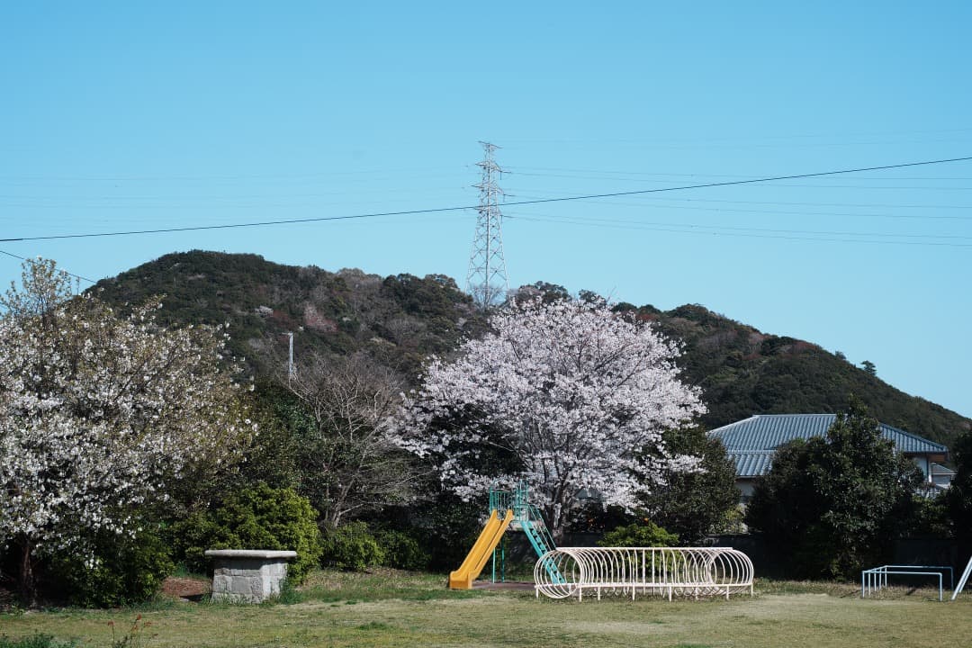 【美品】動作◎ オリンパス G.Zuiko auto 50mm F1.4 895