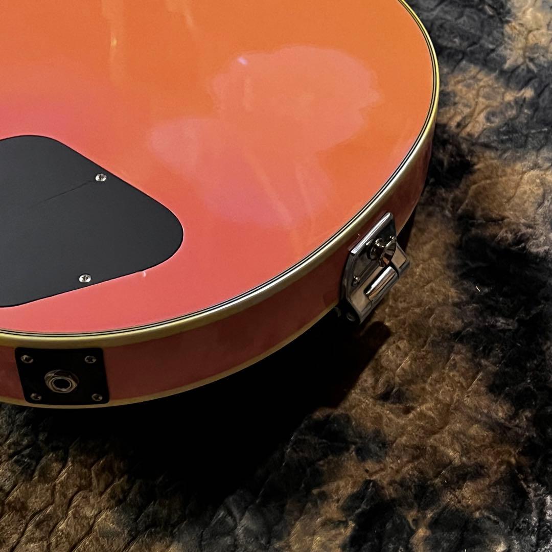 【希少】 Burny バーニー PLC-65PP セミアコ ピンク 管BC