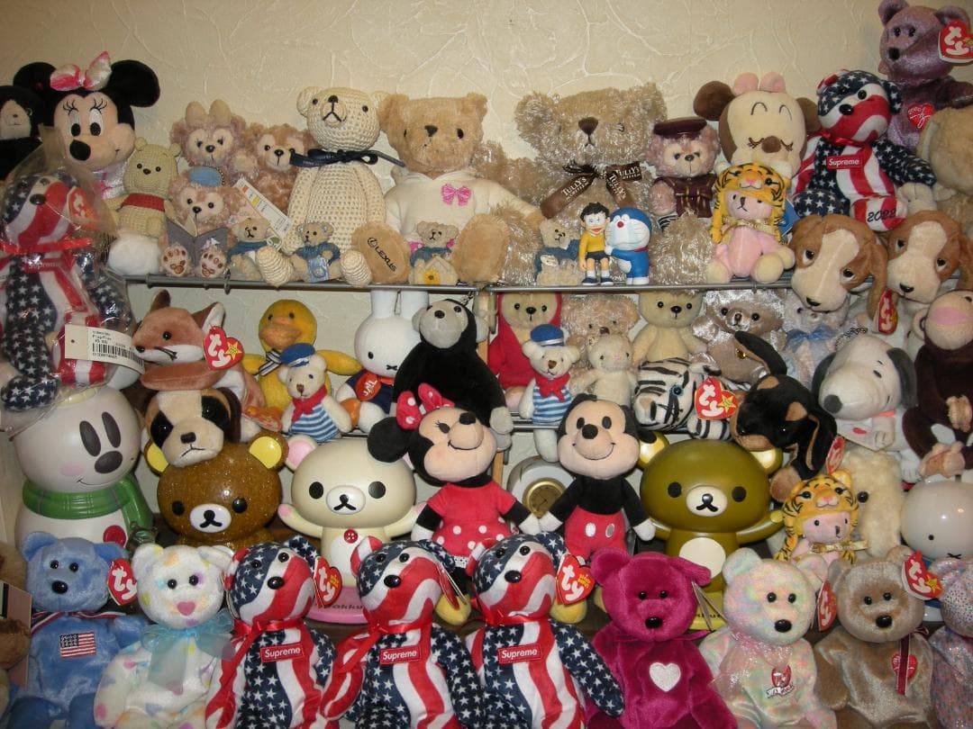 Nikon COOLPIX S510⚠️必読有⭐️小傷使用感有り⭕️安心の実働品