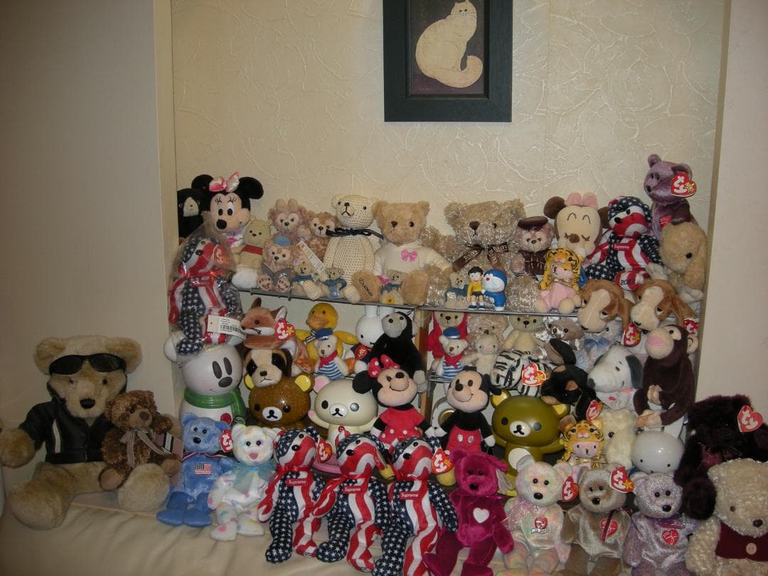 Nikon COOLPIX S510⚠️必読有⭐️小傷使用感有り⭕️安心の実働品