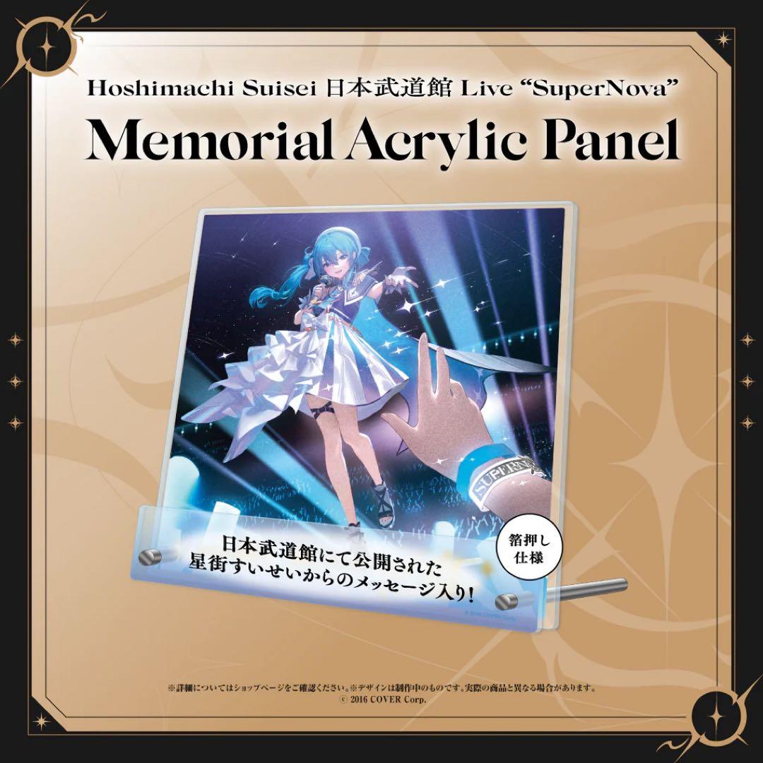 星街すいせい　ライブアクリルパネル+アクリルキーチェーン(チェーンなし)