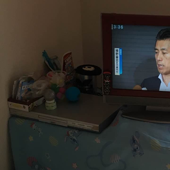 19型テレビ DX