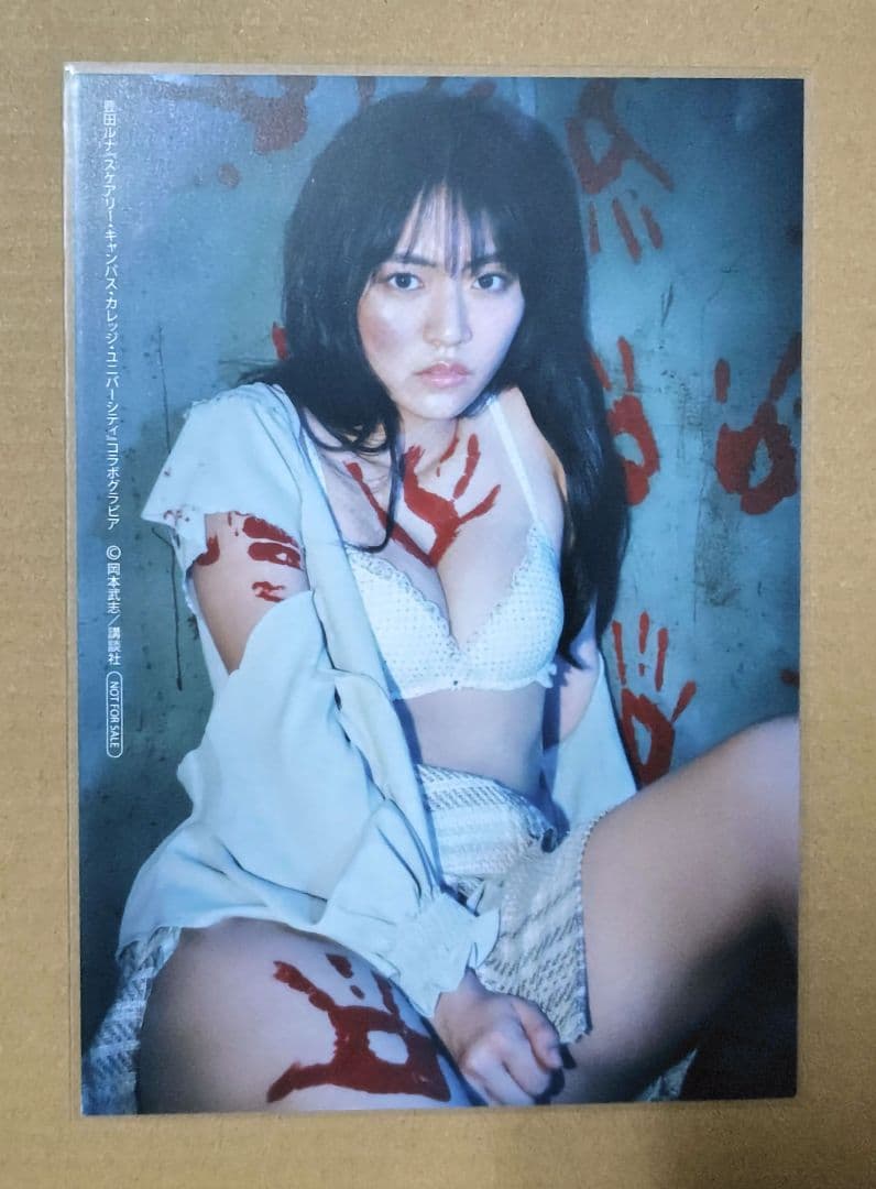 豊田ルナ ポストカード 生写真 9枚セット