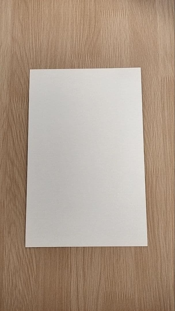 ドラゴンボールZカードダス100 第24弾そして遥かなる戦いへ（前編） 台紙