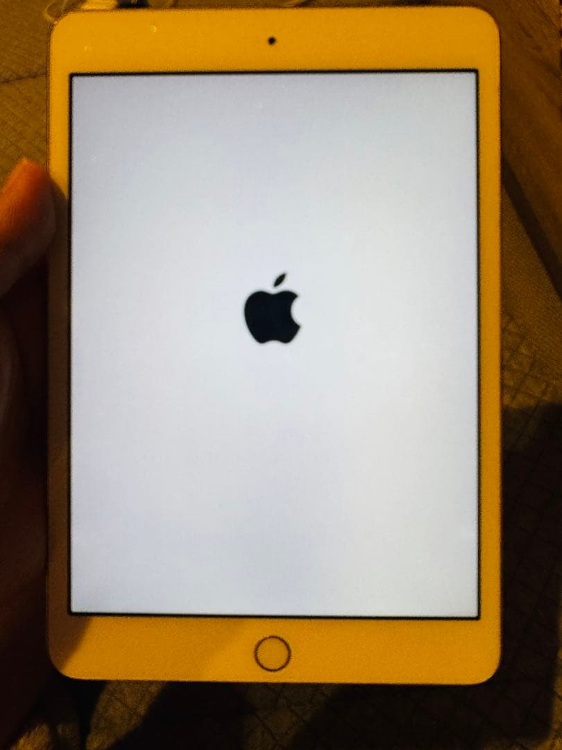 Apple iPad ゴールド 本体