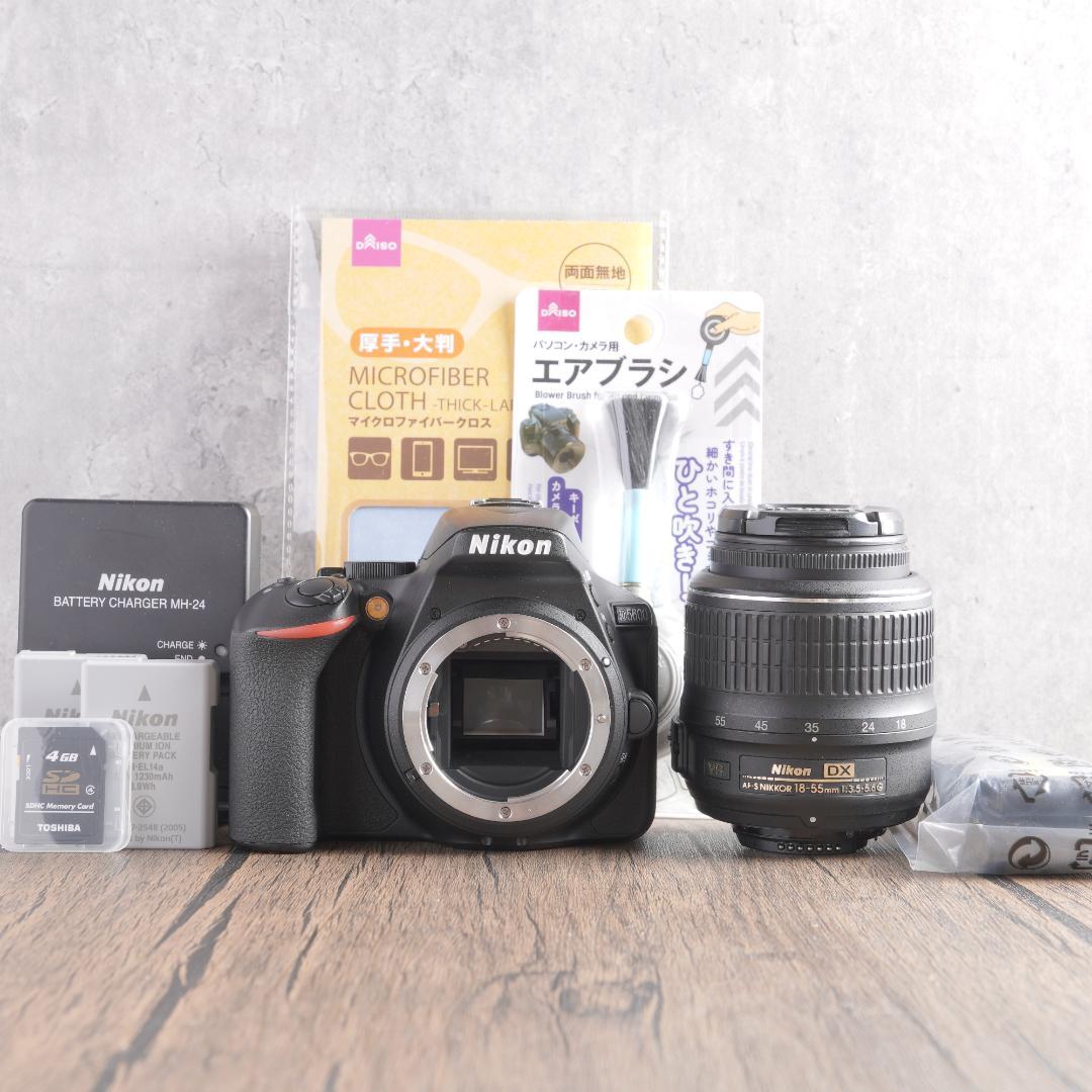 おまけなし！✨ショット数3949回で美品✨Nikon D5600　738-1