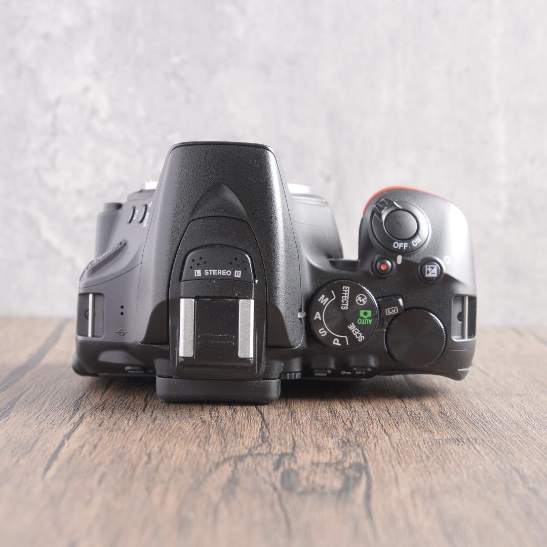 おまけなし！✨ショット数3949回で美品✨Nikon D5600　738-1