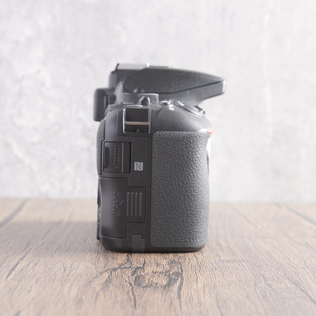 おまけなし！✨ショット数3949回で美品✨Nikon D5600　738-1