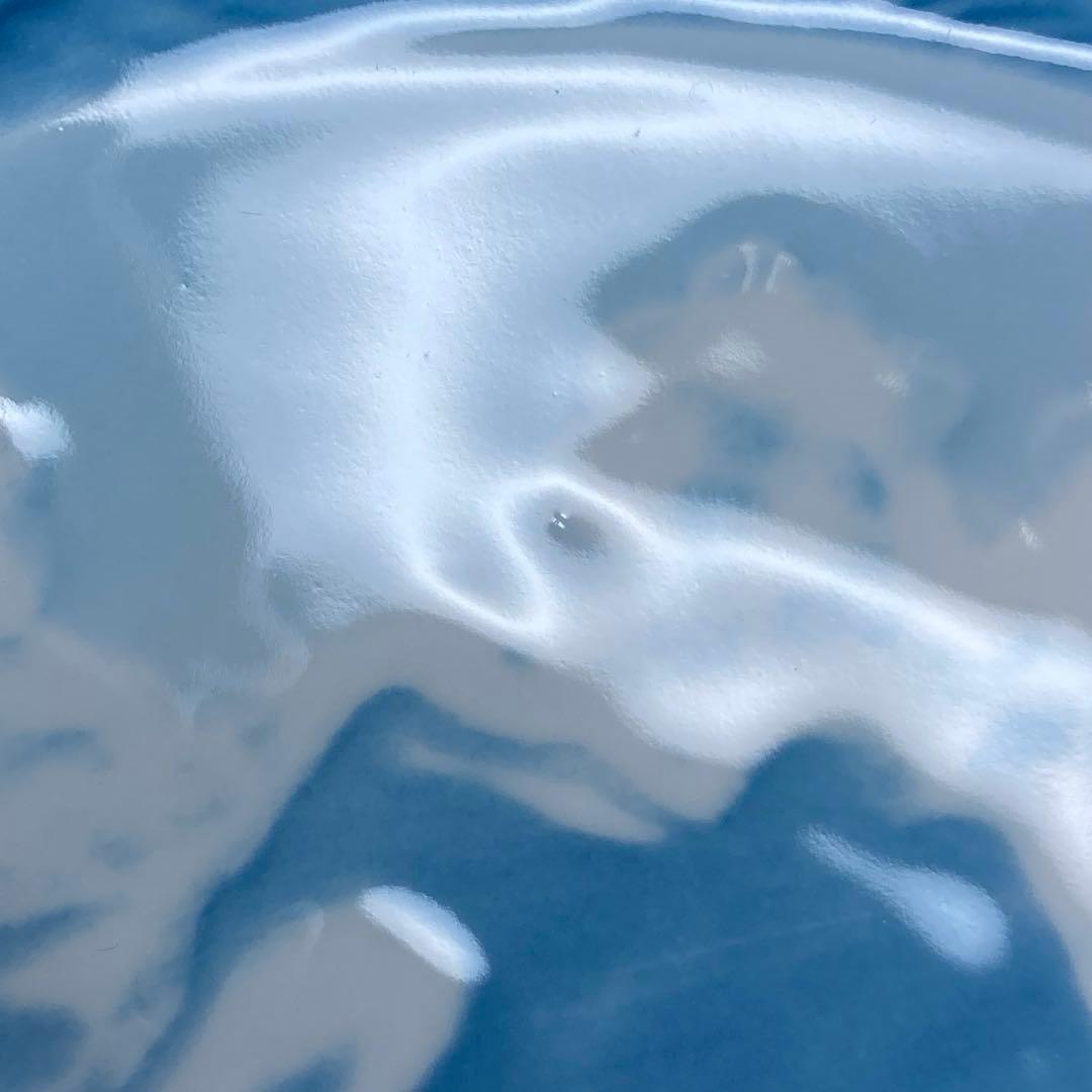 ロイヤルコペンハーゲン　WWFコラボ　2010年　シロクマイヤープレート