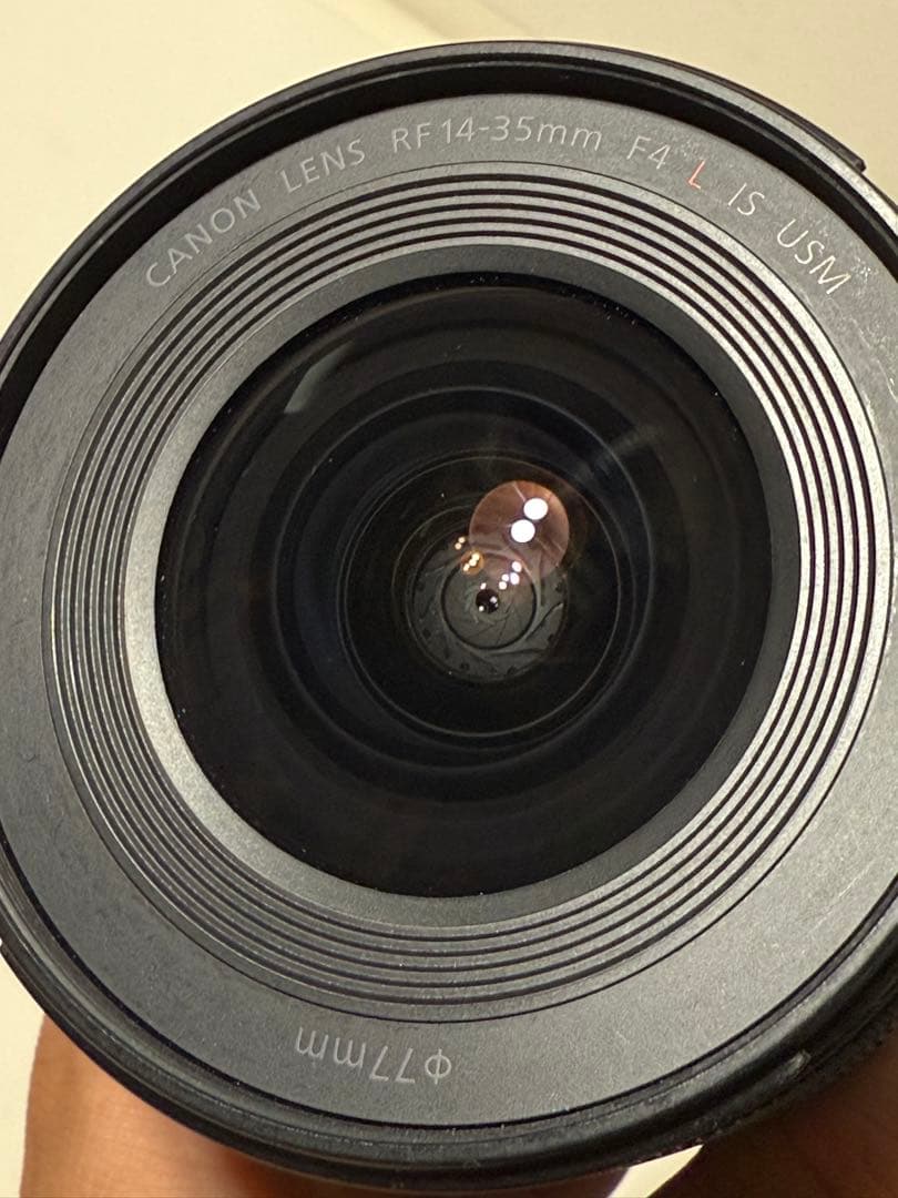 最終値下げ　RF14-35mm F4 L IS USM Canon