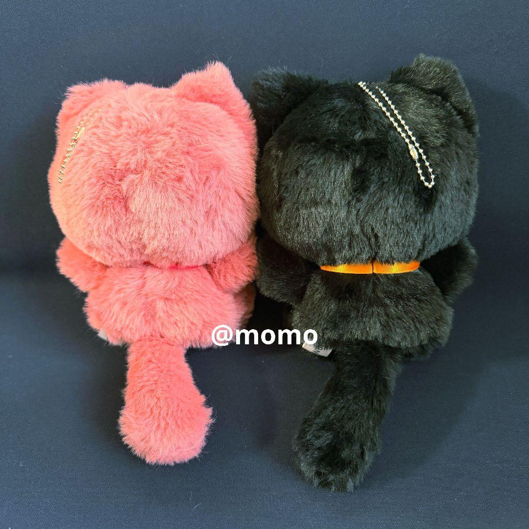 WIND BREAKERたぴにゃんこ vol.1 蘇枋隼飛 桜遥