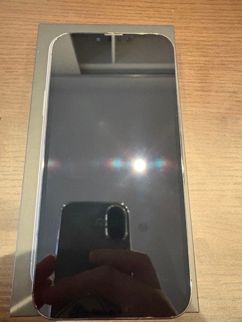 【美品】iPhone13pro max 256GB グラファイト【匿名配送可】