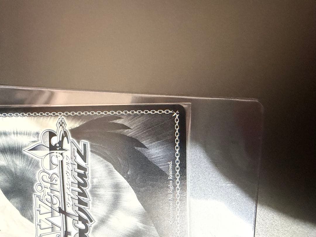 WS ヴァイスシュヴァルツ ペーター・シュトラッサー サイン入りsp