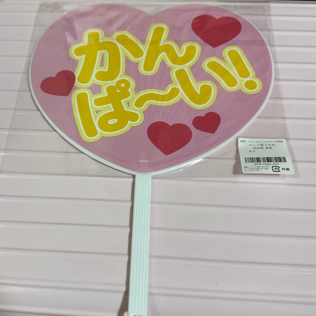 AKB48 向井地美音