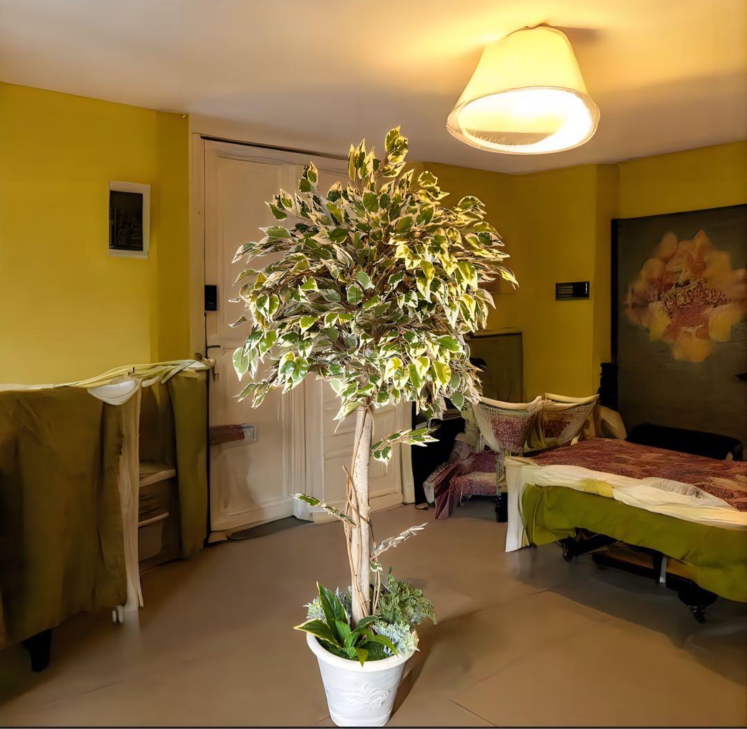 光触媒　人工観葉植物　ウォールグリーン　フェイクグリーン　斑入りベンジャミンwt