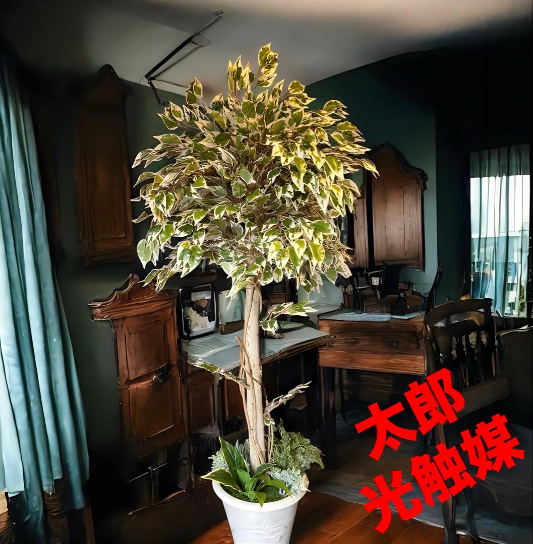 光触媒　人工観葉植物　ウォールグリーン　フェイクグリーン　斑入りベンジャミンwt