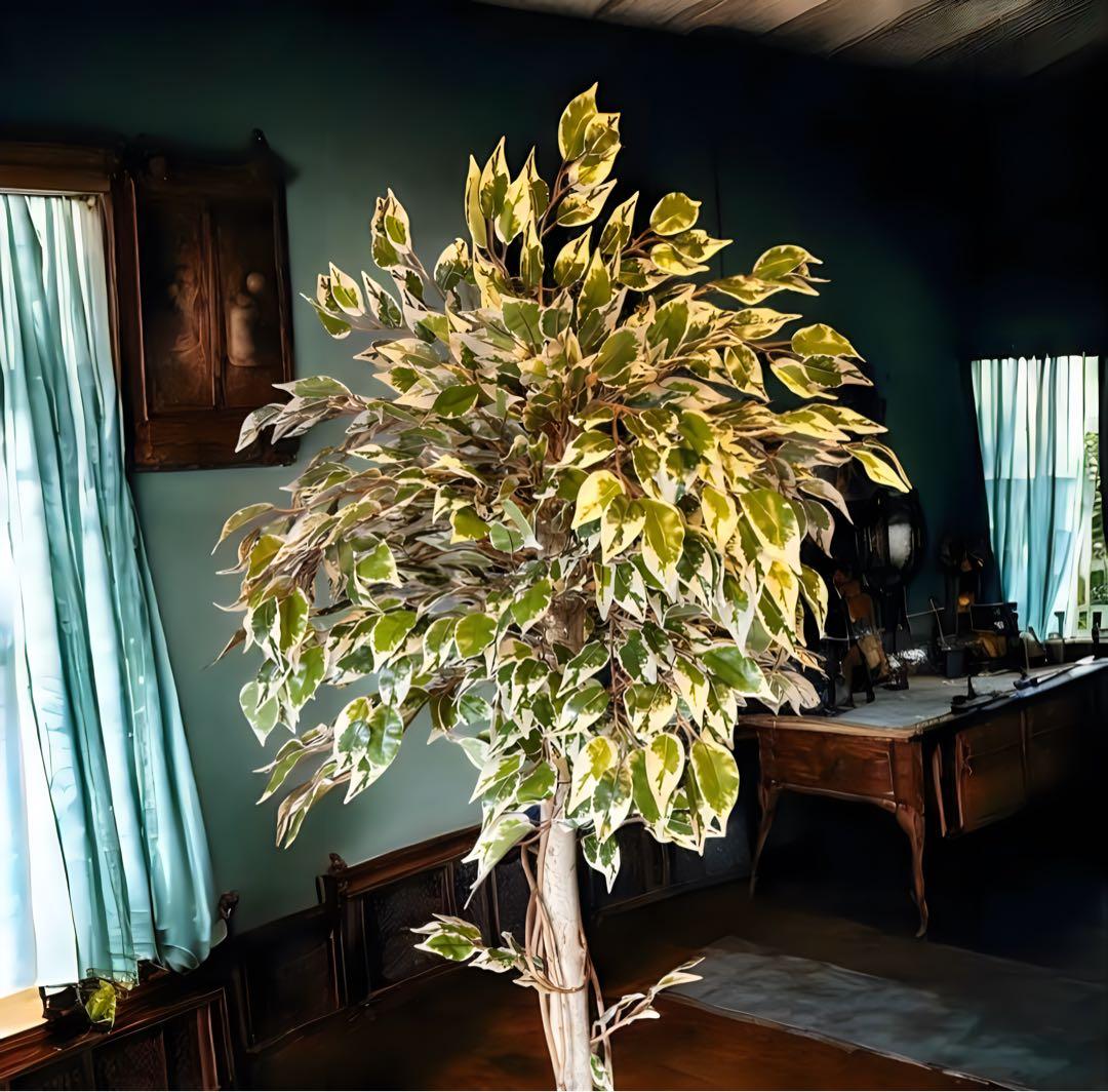 光触媒　人工観葉植物　ウォールグリーン　フェイクグリーン　斑入りベンジャミンwt