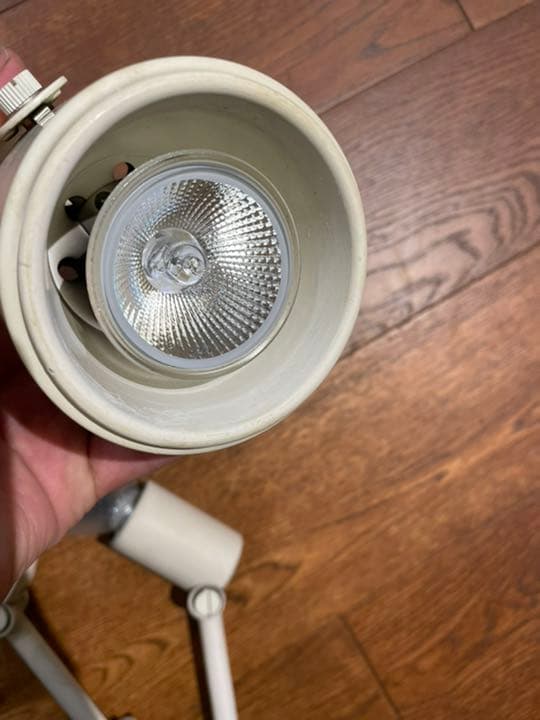 大光電機　スポットライト　５個セット（ハロゲン電球付き）