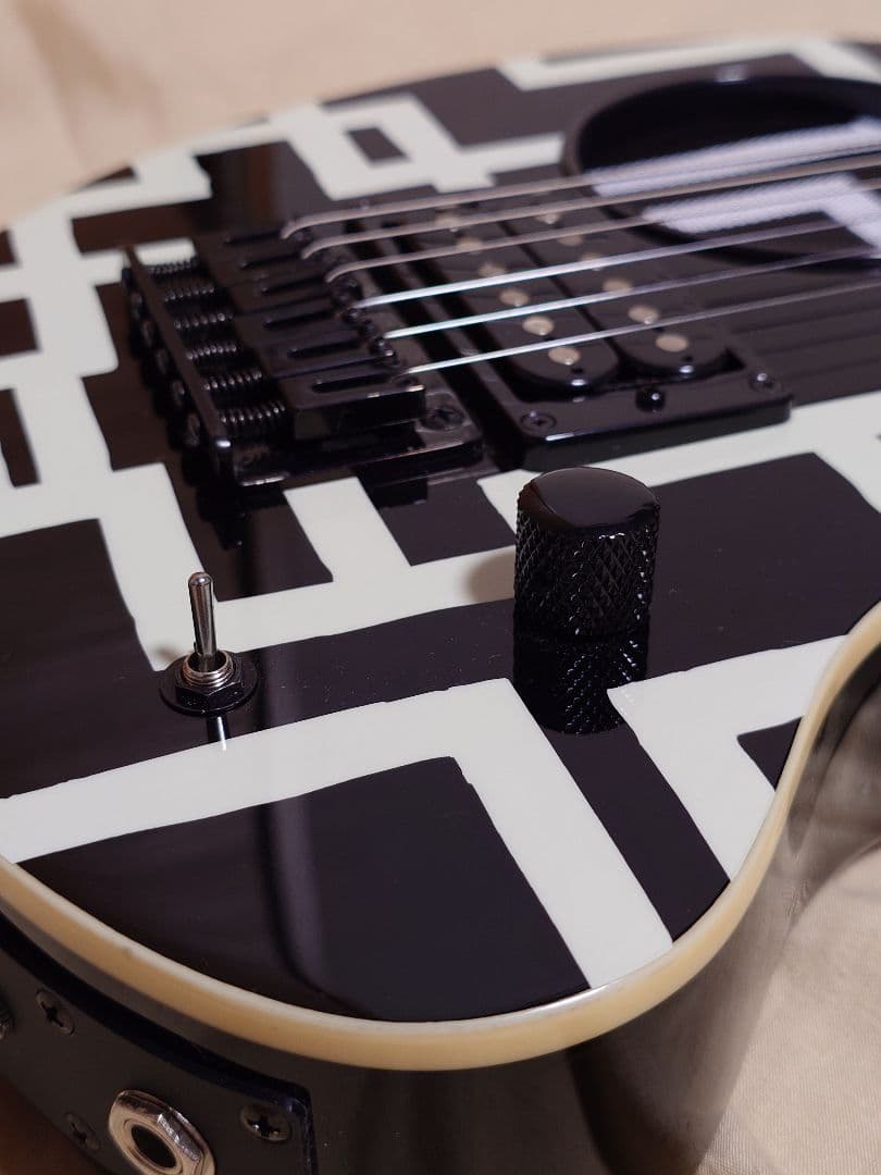 布袋寅泰　フェルナンデス ZO-3 布袋モデル ギターケース付