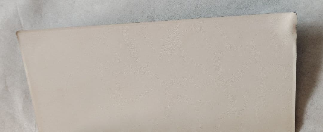 ポケットモンスター ポケモン  メダル ファイル フォルダ