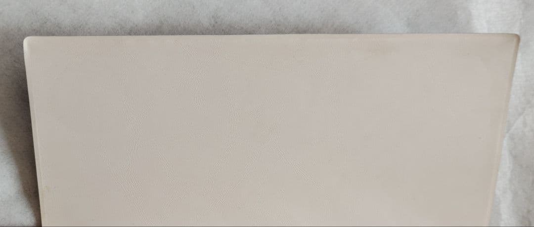 ポケットモンスター ポケモン  メダル ファイル フォルダ