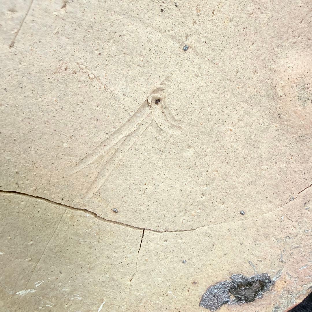 【名門】信楽焼 五代 上田直方 壺 矢印銘 滋賀県無形文化財 自然釉 ビードロ