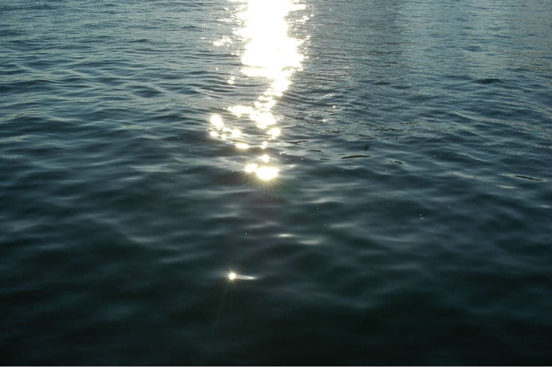 Nikon デジタル一眼レフカメラ