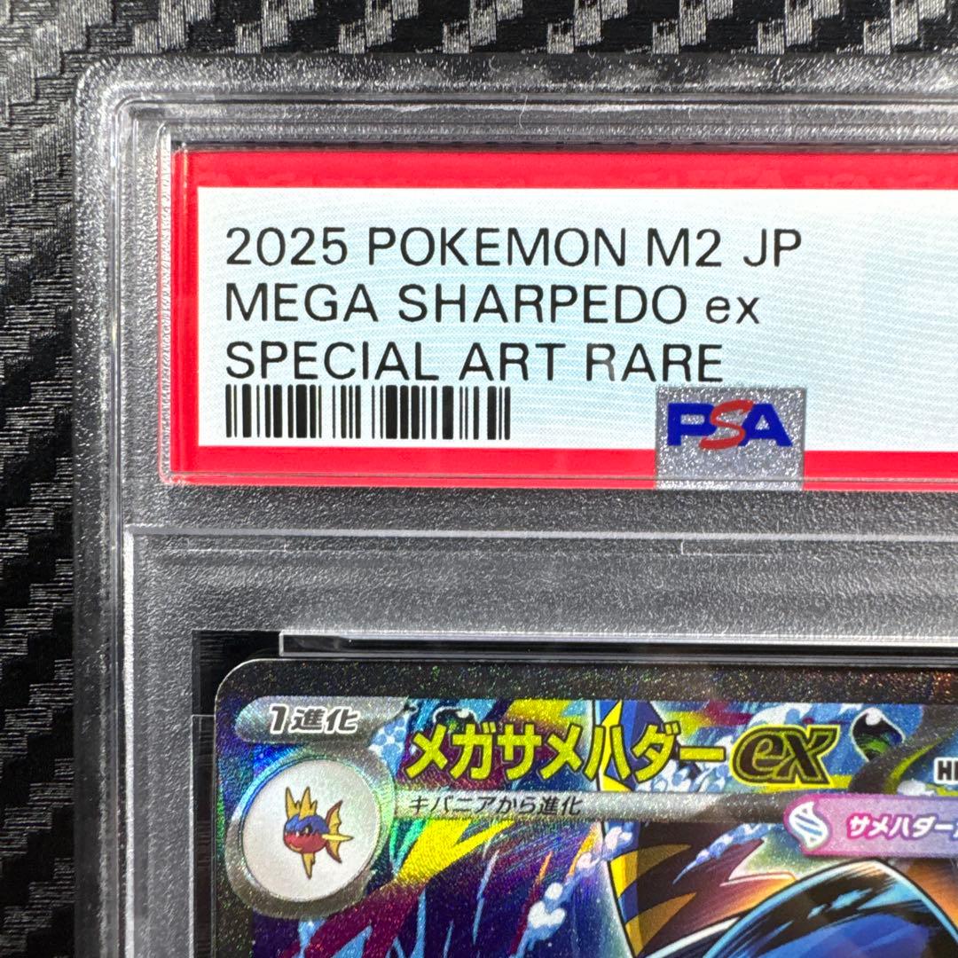 PSA10 サメハダー ex SAR #113 ポケモンカード
