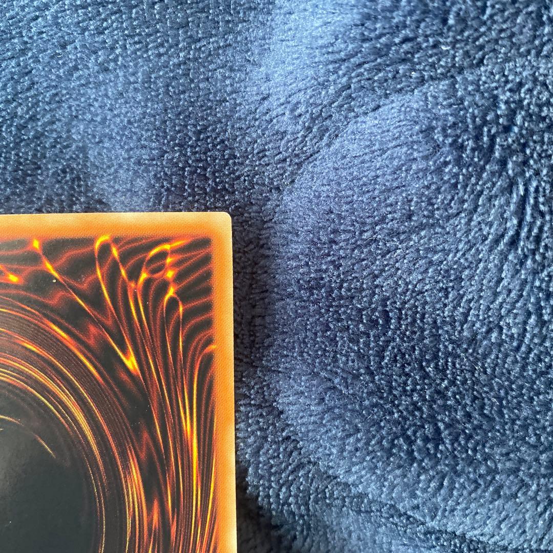 遊戯王　ブラックローズドラゴン　ホロ