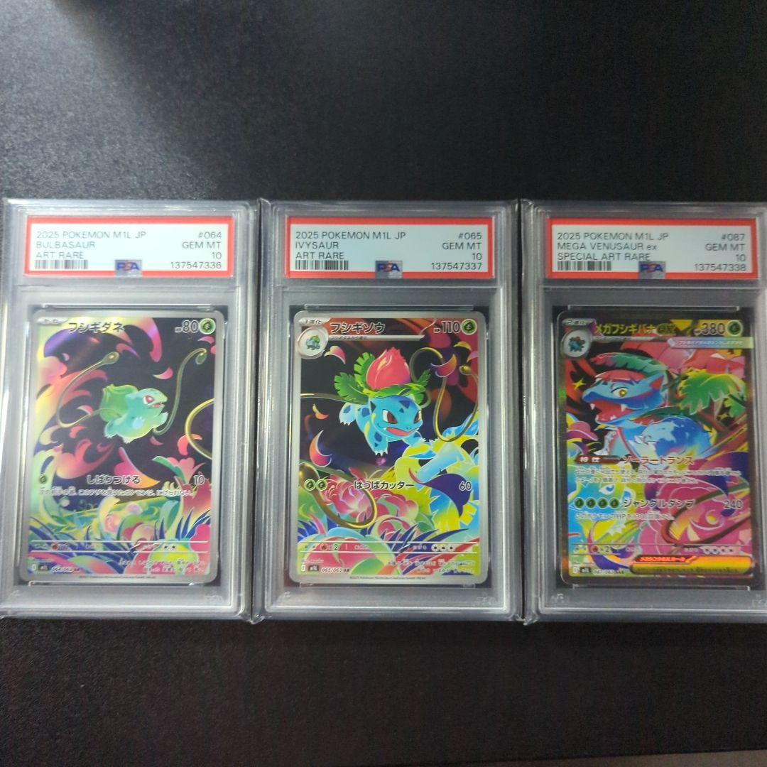 メガフシギバナex SAR フシギダネ　フシギソウ　AR PSA10 連番　進化