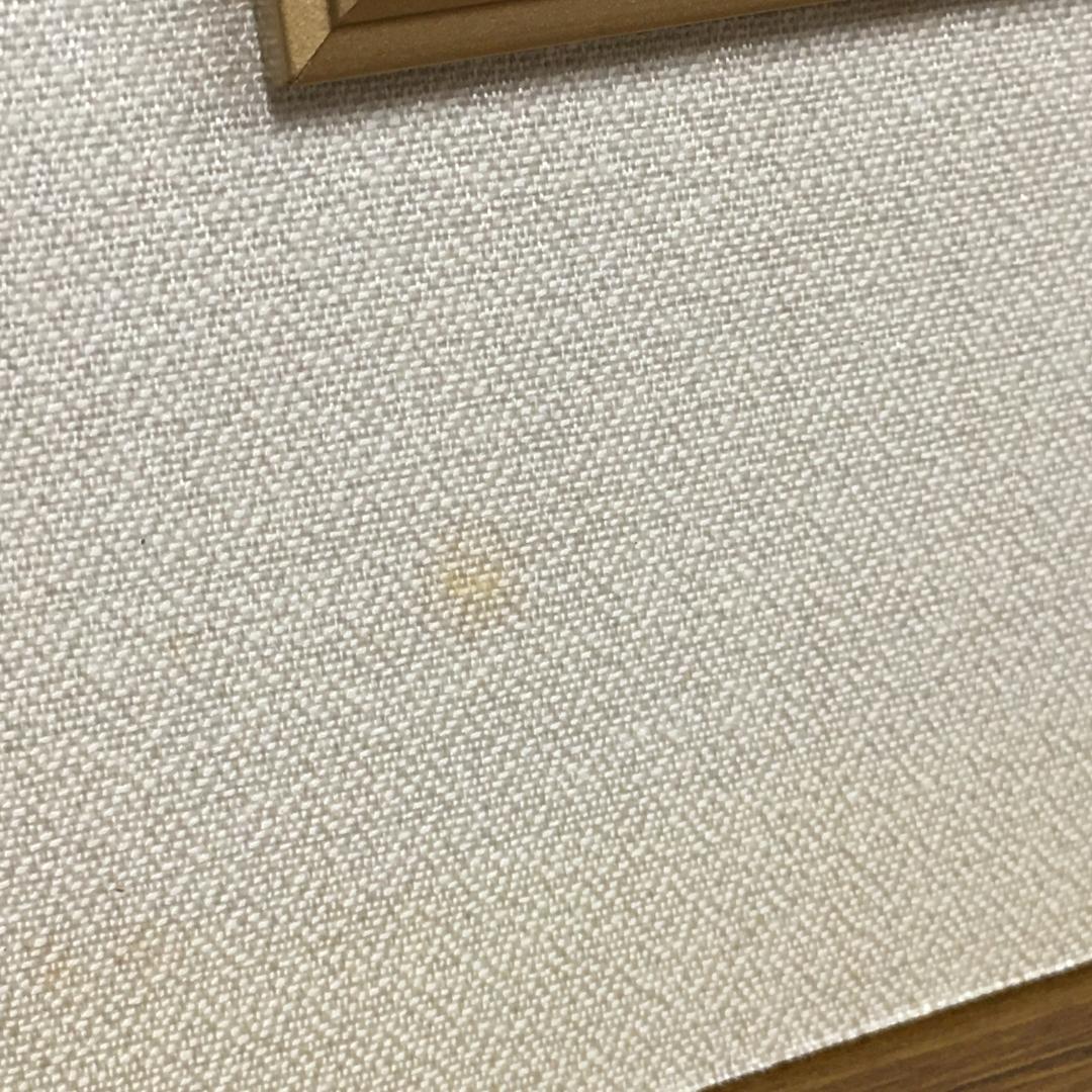 Y 長期保管 七宝焼 絵画 胡蝶蘭 ガラス 花 工芸品 インテリア 額縁