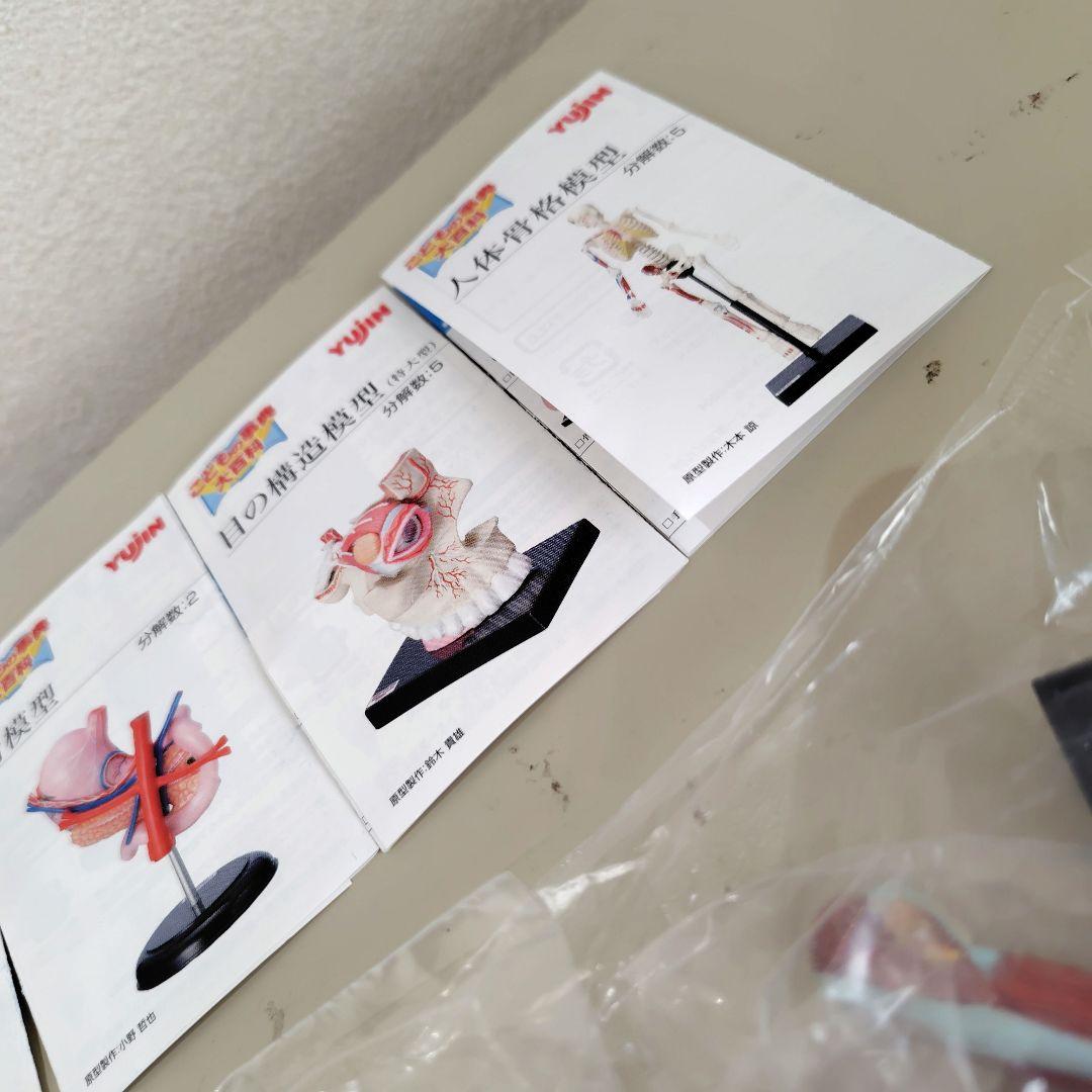 カプセルトイ　ユージン　yujin こどもの図鑑　人体解剖図鑑　2