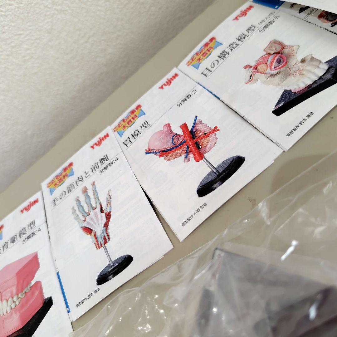 カプセルトイ　ユージン　yujin こどもの図鑑　人体解剖図鑑　2