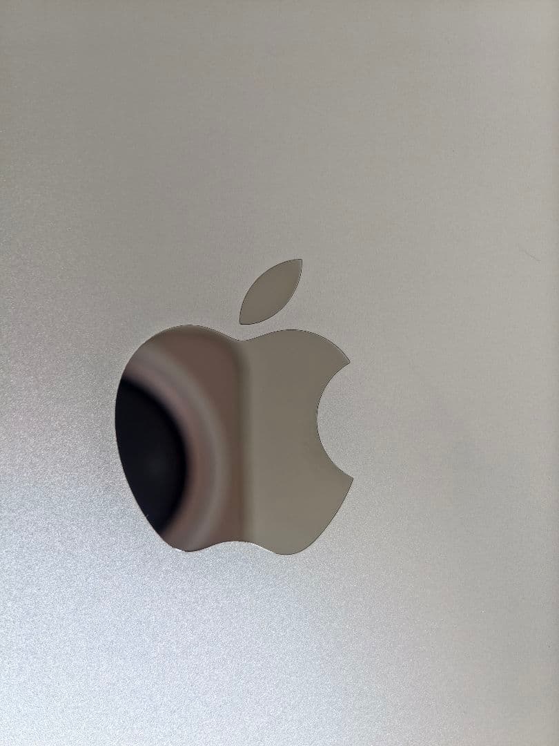 Apple iPad 第10世代 シルバー バッテリー容量100%