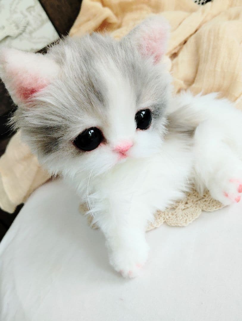 幼猫♡生後２週間♡よちよち期♡子猫の杏ちゃん♡アートドール♡ぬいぐるみ♡