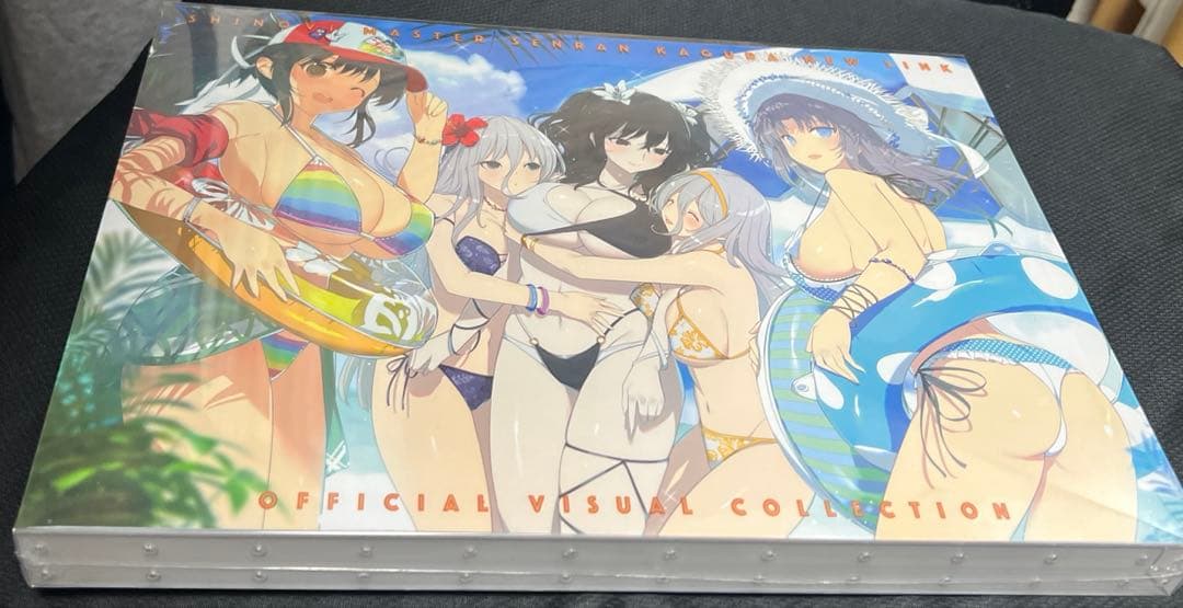シノビマスター 閃乱カグラ 閃乱カグラTEN ビジュアルコレクション 新品