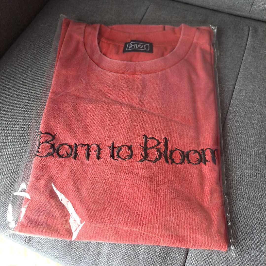 HANA Tシャツ Lサイズ ２枚 バラ売り希望の方はご相談ください