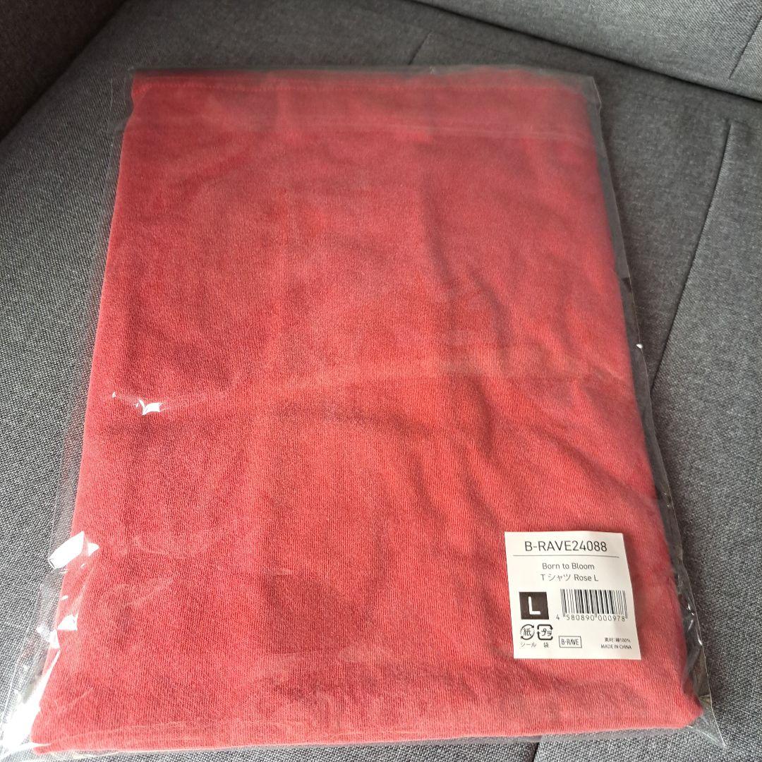 HANA Tシャツ Lサイズ ２枚 バラ売り希望の方はご相談ください