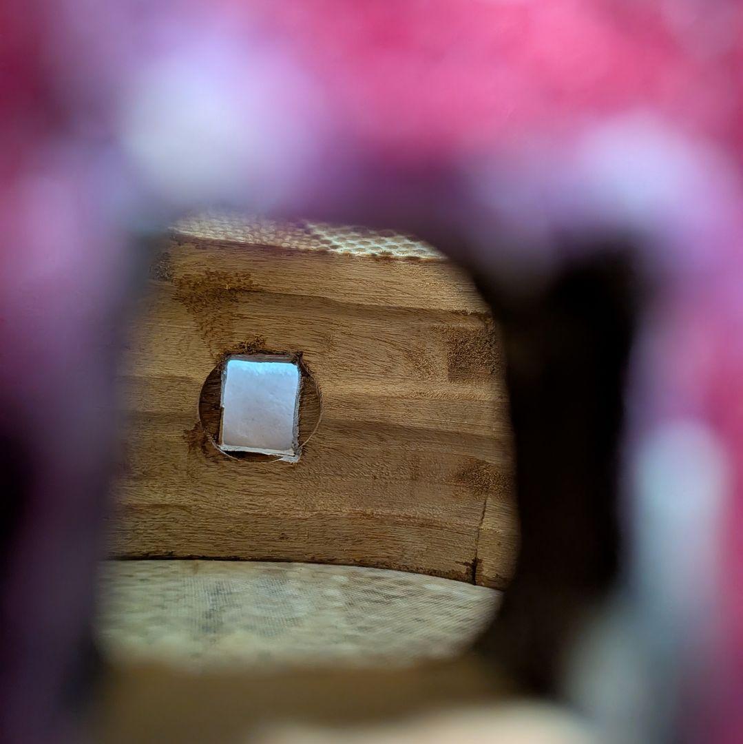 沖縄三線　本革　縞黒檀　　スンチー塗り　付属品沢山アリ