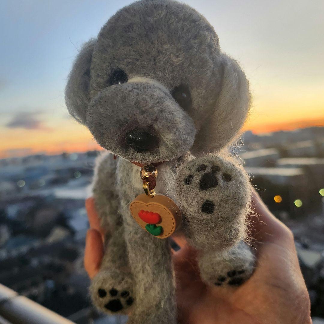 トイプードル❤️ハンドメイド❤️羊毛フェルト　　　　　　　　お迎え決まりました。