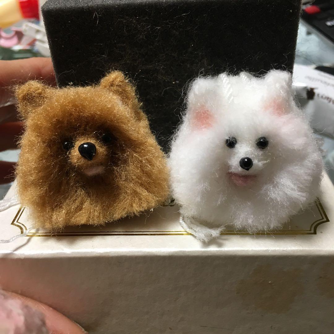 ポメラニアンチビ