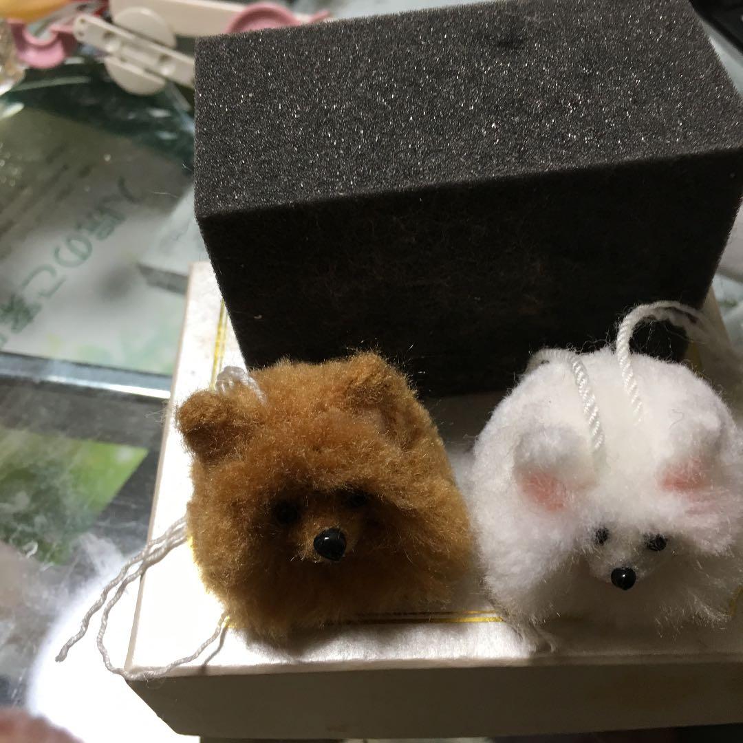 ポメラニアンチビ