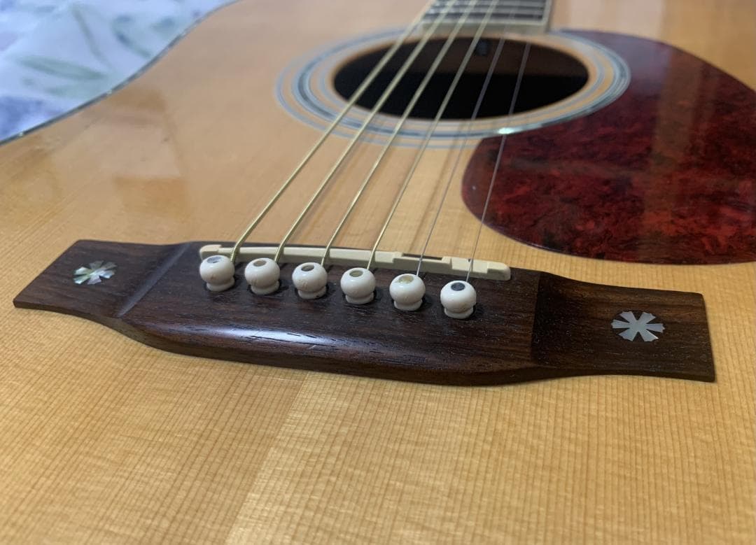 Aria Dreadnought AD-950Nオール単板【弾きやすさ◎音質◎】